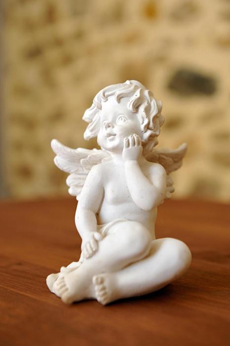 Maison Des Anges Bouin  Bilik gambar